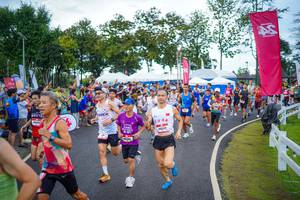 BIB: 
                            <button type="button" onclick="openModal(26550198)" class="btn btn-primary btn-sm float-right btn-popup" data-toggle="modal" data-target=".modal-high-quality">
                        <i class="fas fa-shopping-cart"></i> Add to Cart
                    </button>
                                            <button type="button" onclick="isThisMe(26550198, true)" class="btn btn-success btn-sm float-right btn-popup btn-isme hidden" data-toggle="tooltip" data-placement="bottom" title="นี่คือรูปของคุณใช่ไหม คลิกที่นี่เพื่อเอาเข้าอัลบั้ม">
                        <i class="fas fa-plus"></i> Add to album
                    </button>
                    <button type="button" onclick="isThisMe(26550198, false)" class="btn btn-warning btn-sm float-right btn-popup btn-isnotme hidden">
                        <i class="fas fa-ban"></i> Remove from album
                    </button>